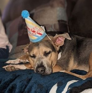 Meet your Posher, Sharon